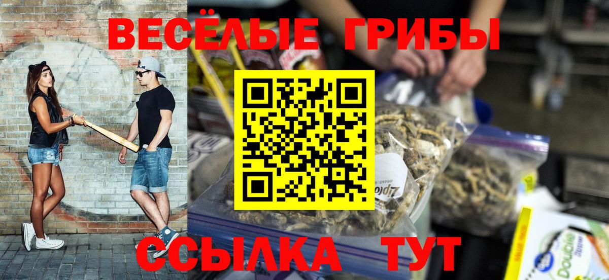 Псилоцибиновые грибы прущие грибы Дмитров