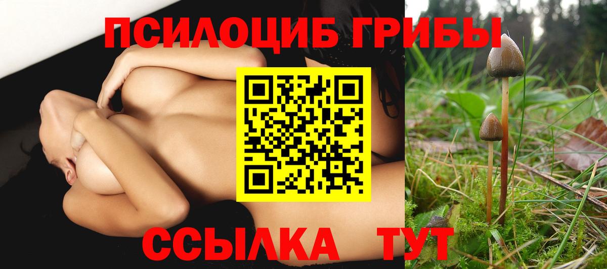 Псилоцибиновые грибы Cubensis  Галлюциногенные грибы GOLDEN TEACHER  Дмитров  Вход с VPN 